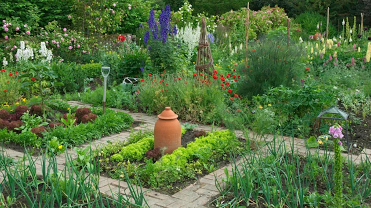 Co sadzimy w marcu na działce - najlepsze warzywa i kwiaty do siewu