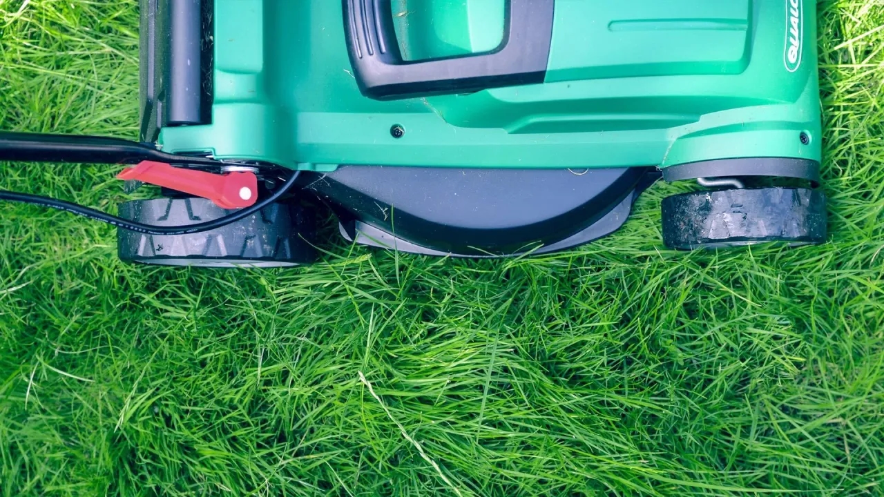 Czy 3 maja można pracować na działce? Sprawdź ważne przepisy i zasady