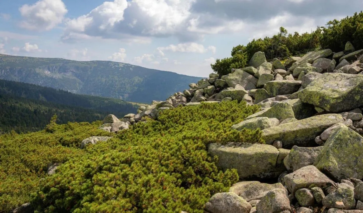 Karkonosze – jakie formy rzeźby terenu skrywają te góry?