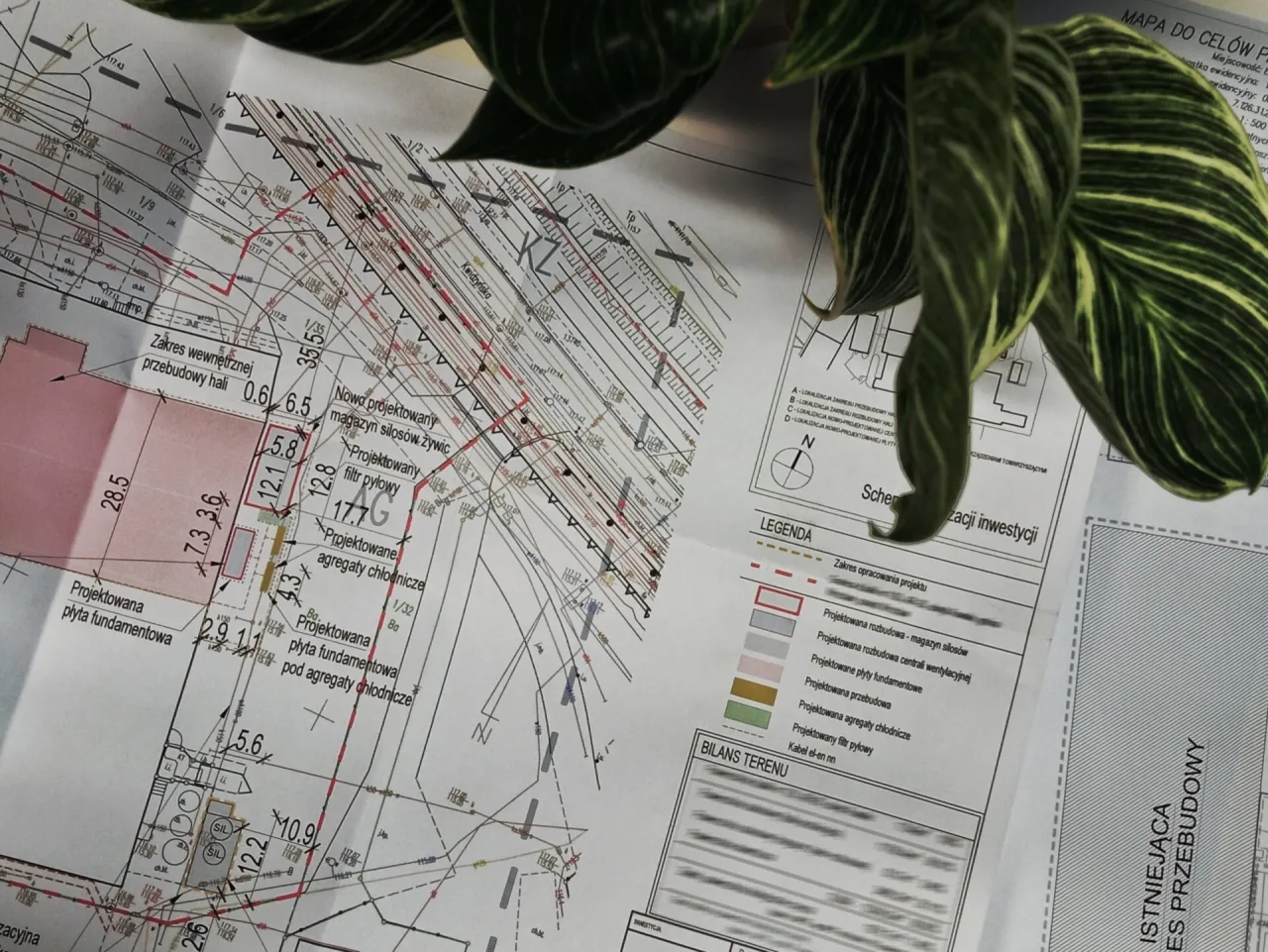 Jak zdobyć projekt zagospodarowania działki - kluczowe informacje i źródła