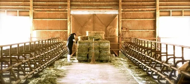 Czy rolnik płaci podatek od nieruchomości za budynek mieszkalny? Sprawdź warunki zwolnienia
